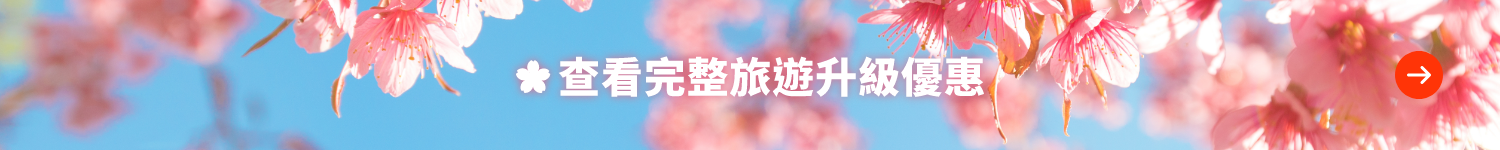 Japan Campaign Page_2024_Cheatsheet bar banner_Web